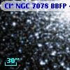 Cl* NGC 7078   BBFP     478