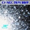 Cl* NGC 7078   BBFP     226