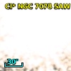 Cl* NGC 7078    SAW V170