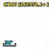CXOU J212958.1+121002