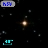 NSV 13786