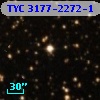 TYC 3177-2272-1