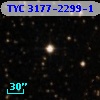 TYC 3177-2299-1
