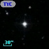TYC 1132-1636-1