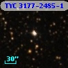 TYC 3177-2485-1