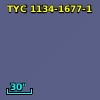 TYC 1134-1677-1