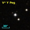 V* Y Peg