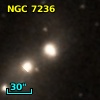 NGC  7236