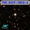 TYC 3177-2853-1