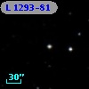 L 1293-81