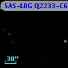 SAS-LBG Q2233-C6