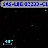 SAS-LBG Q2233-C11