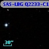 SAS-LBG Q2233-C14