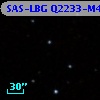 SAS-LBG Q2233-M4