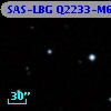 SAS-LBG Q2233-M6