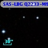 SAS-LBG Q2233-M8