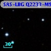SAS-LBG Q2233-M9