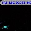 SAS-LBG Q2233-M20