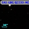 SAS-LBG Q2233-M25