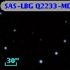 SAS-LBG Q2233-MD1