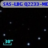 SAS-LBG Q2233-MD2