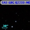 SAS-LBG Q2233-MD4
