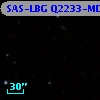 SAS-LBG Q2233-MD7