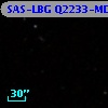 SAS-LBG Q2233-MD8
