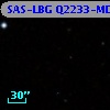 SAS-LBG Q2233-MD11