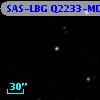 SAS-LBG Q2233-MD13