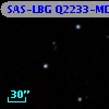 SAS-LBG Q2233-MD15