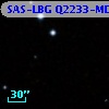 SAS-LBG Q2233-MD16