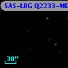 SAS-LBG Q2233-MD18