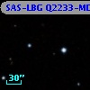 SAS-LBG Q2233-MD19