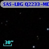 SAS-LBG Q2233-MD20