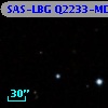 SAS-LBG Q2233-MD22
