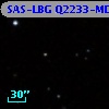 SAS-LBG Q2233-MD23