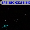 SAS-LBG Q2233-MD24