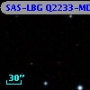 SAS-LBG Q2233-MD27