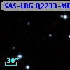 SAS-LBG Q2233-MD28