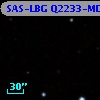 SAS-LBG Q2233-MD29