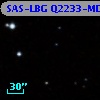 SAS-LBG Q2233-MD30
