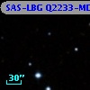 SAS-LBG Q2233-MD31