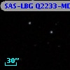 SAS-LBG Q2233-MD35