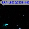 SAS-LBG Q2233-MD37