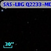 SAS-LBG Q2233-MD38