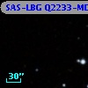 SAS-LBG Q2233-MD40