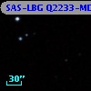 SAS-LBG Q2233-MD41
