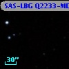 SAS-LBG Q2233-MD42