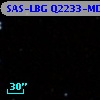 SAS-LBG Q2233-MD43